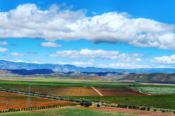 Valle de Guadalupe Private Wine Tour - Logistics: Pickup, Drop-off, and Additional Fees