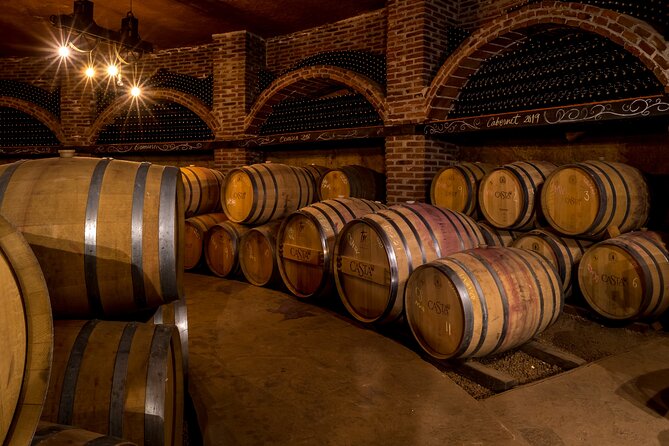 Valle de Guadalupe Private Wine Tour - Who Should Consider This Tour?