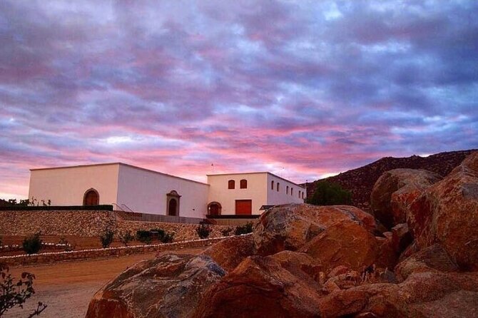 Valle de Guadalupe Wine Experience: Wine Tastings Included - Pacing and Group Size