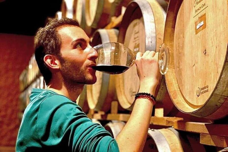 Valle de Guadalupe: Wine Tasting and Wagon Tour - Guided Wine Cellar Tour by a Certified Sommelier