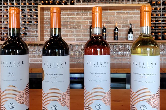 Valle de Guadalupe Wine Tour - Timing, Pacing, and Group Size