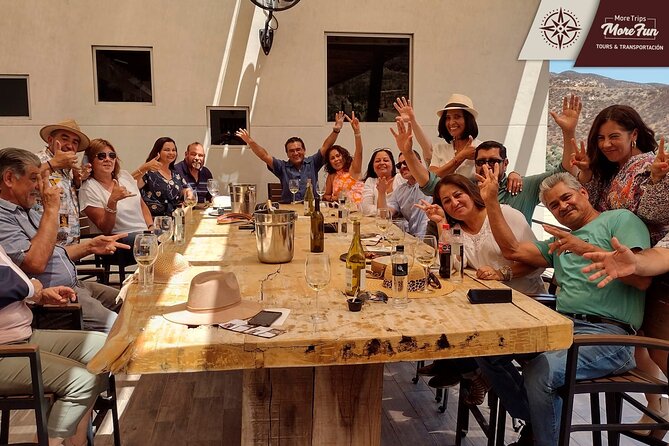 Valle de Guadalupe winery and brewery tours - Value for Money and Booking Flexibility