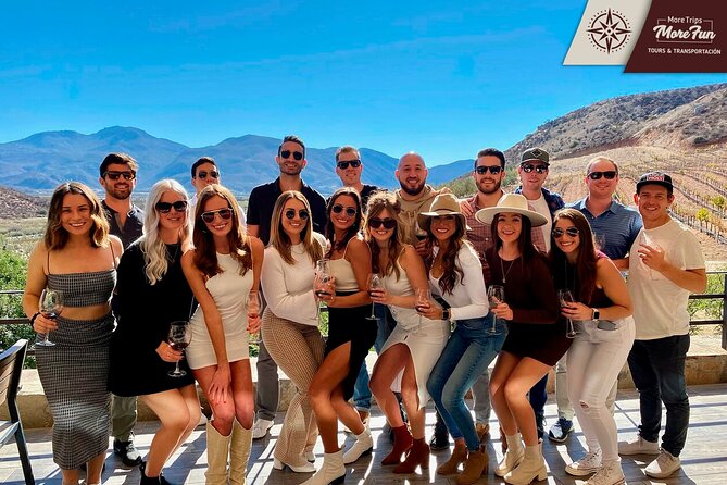 Valle de Guadalupe winery and brewery tours - Who Should Consider This Tour