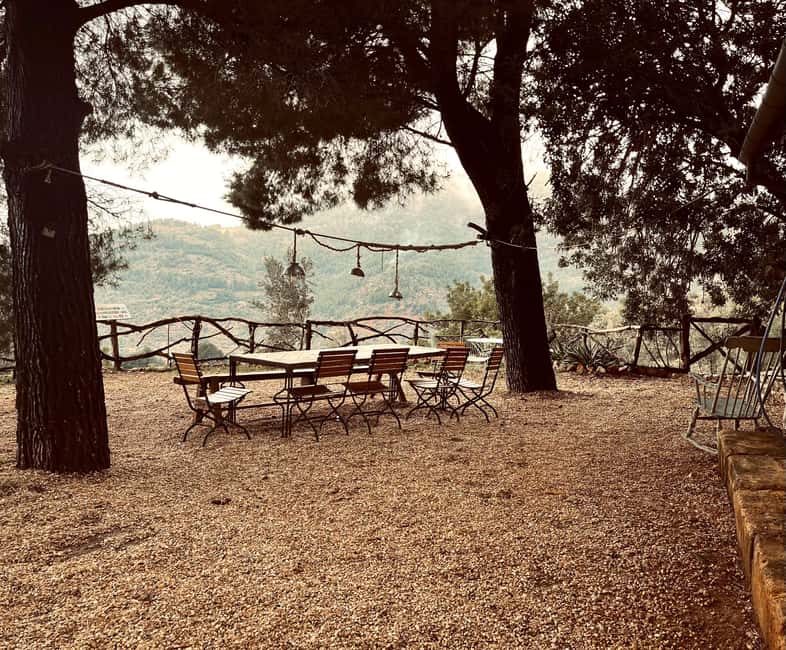 Valle de Sóller, Fornalutx: Olive grove tour, oil tasting, and local products - Practical Details: Meeting Point and Accessibility