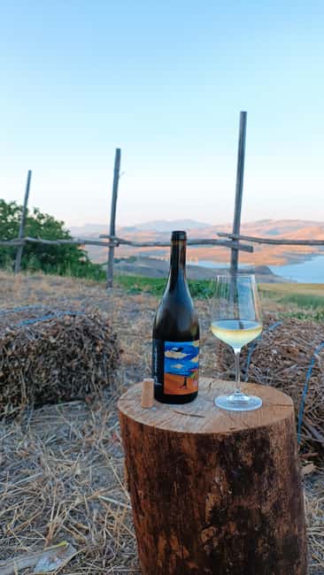 Valle del Belice: Informal and authentic tasting of artisan wines - Starting Point in Poggioreale and Vineyard Walk