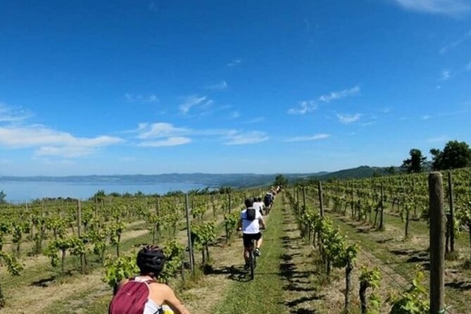 Valle del Lago eBike Tour with Food & Wine Tasting Experience - Discover the Valle del Lago eBike Tour with Food & Wine Tasting