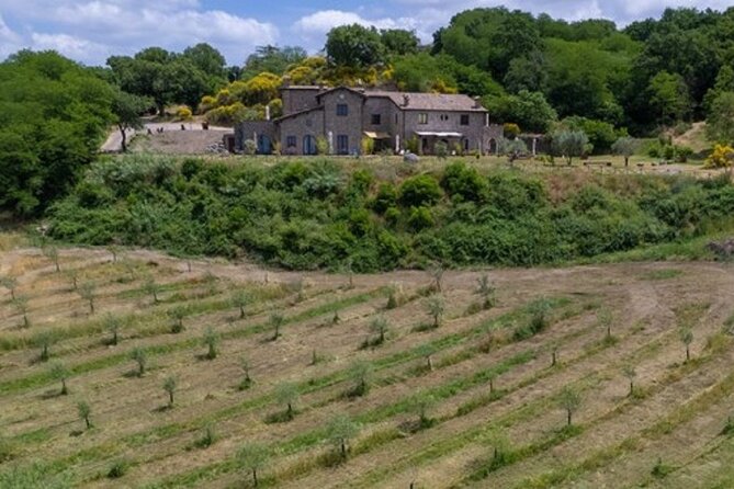 Valle del Lago eBike Tour with Food & Wine Tasting Experience - Key Points