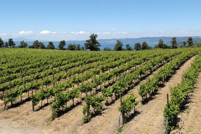 Valle del Lago eBike Tour with Food & Wine Tasting Experience - Equipment and Additional Inclusions