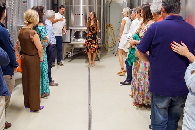 Valle delle Ferle with Wine Tasting and Lunch in Caltagirone - Discover Valle delle Ferle: A Sicilian Wine Estate Near Caltagirone