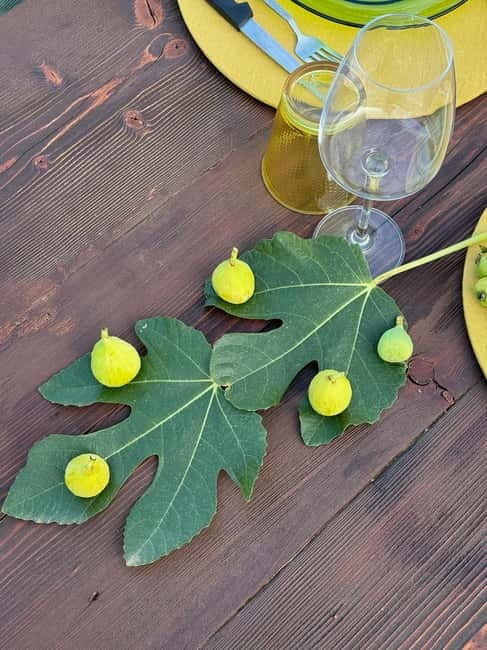 Valle DItria: Oil & Wine Tasting with Aperitivo Pugliese - Practical Details and Accessibility