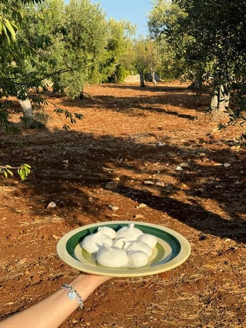 Valle DItria: Oil & Wine Tasting with Aperitivo Pugliese - What Makes This Tour Stand Out?