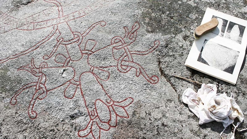 Vallentuna: Walking Tour and Viking History at Granby Farm - Key Points