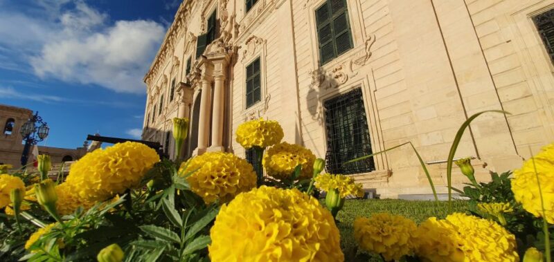 Valletta: Food Walking Tour with Tastings - Value for Money and Overall Impressions