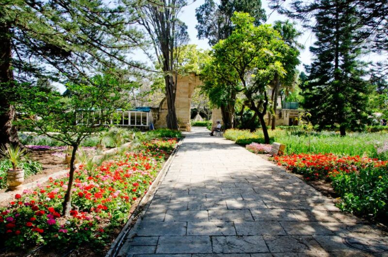 Valletta: Malta's Noble Homes and Palaces Private Tour - Visiting Mdina’s Palazzo Falson, One of the Oldest Buildings