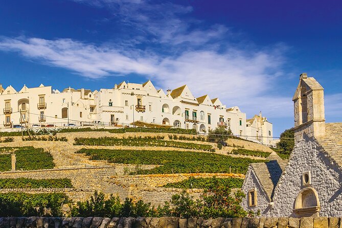 Valley D'itria full day tour Cisternino Alberobello and Polignano a Mare - Key Points