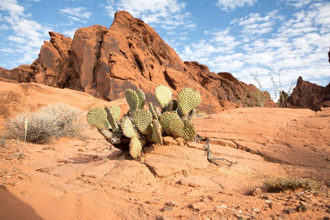 Valley of Fire and Lost City Museum Tour from Las Vegas - Exploring Valley of Fire State Parks Unique Landscape