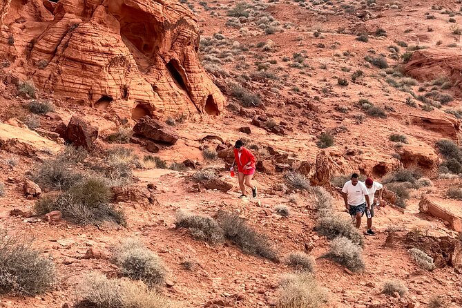 Valley of fire and Mojave Desert Tour from Las Vegas - Key Points