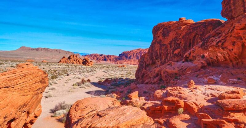 Valley of Fire: Private Group Tour from Las Vegas - Practical Details: What to Bring and What Not to Bring