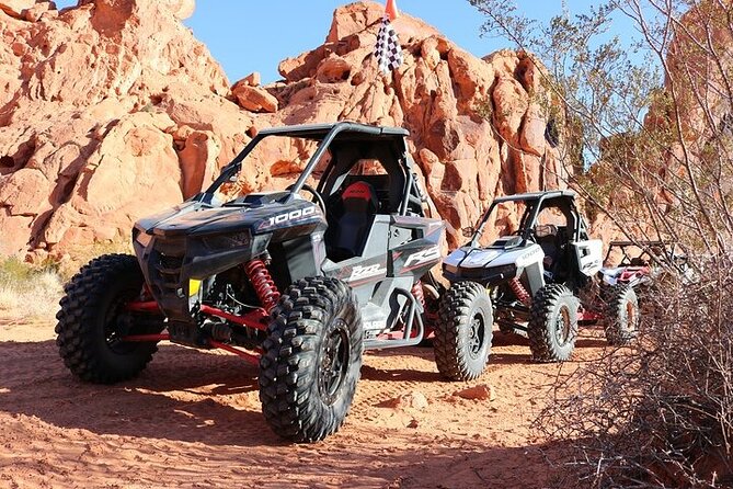 Valley of Fire Single Seater UTV Tour - Trails, Scenic Views, and Landscape Highlights