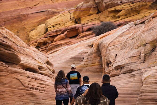 Valley of Fire Sunset Tour from Las Vegas - Who Should Book the Valley of Fire Sunset Tour?
