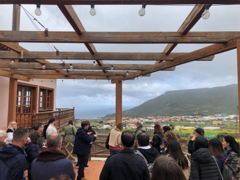 Valley of Tegueste: Wine Tour with Tasting at El Lomo Winery - Tasting Canary Wines Paired with Local Snacks