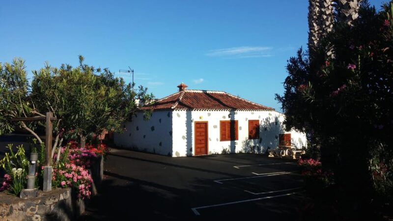 Valley of Tegueste: Wine Tour with Tasting at El Lomo Winery - Why Choose This Wine Tour in Tegueste