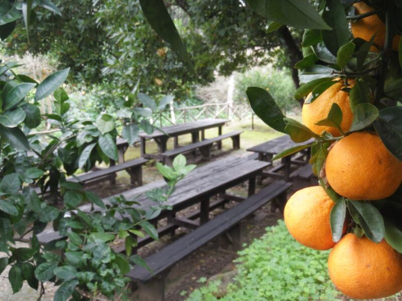 Valley of the Temples: Kolymbethra Garden Entry Ticket - The Experience of the Guides and Tour Quality