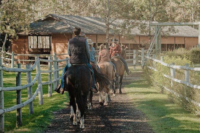 Valley Vista 1.5 Hour Horseback Trail Ride in Kananaskis - The Trail Experience: Terrain and Landscape
