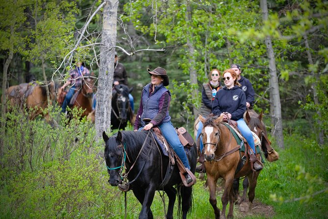 Valley Vista 1.5 Hour Horseback Trail Ride in Kananaskis - Seasonality and Weather Considerations