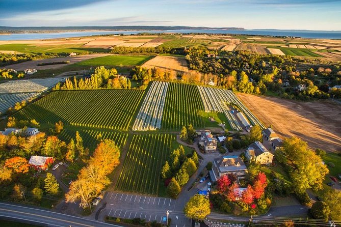 Valley Wine Tour. You will buy your own wine and meals. - Explore Nova Scotia’s Finest Wineries Without the Hassle of Driving