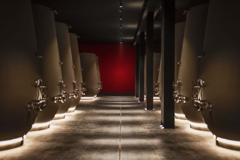 Valpolicella: 1.5-Hour Guided Winery Tour with Wine Tasting - The Value of the Experience