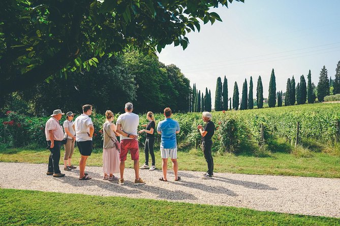 Valpolicella and Amarone Wine-tasting Tour from Verona - Guide Profile: Stefanos Expertise and Charisma