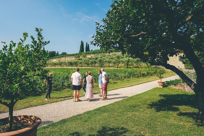 Valpolicella and Amarone Wine-tasting Tour from Verona - Tasting Experience at Two Wineries