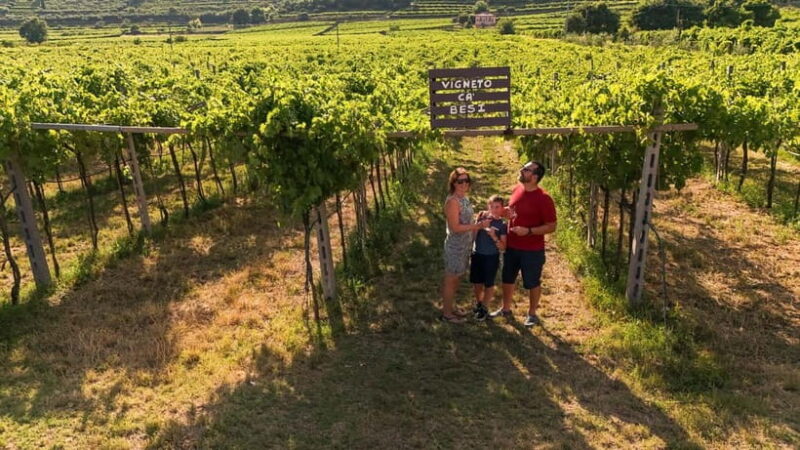 VALPOLICELLA: DISCOVER IT IN 5 GLASSES - Discover Valpolicella in 5 Glasses: The Concise Organic Wine Tasting Tour