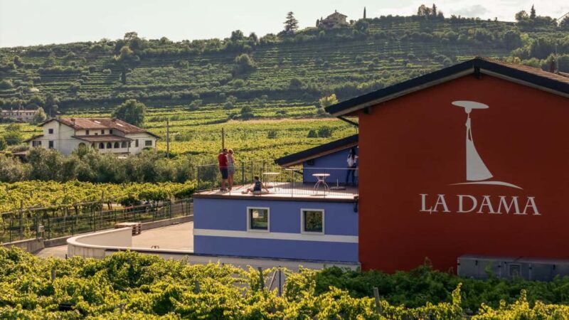 VALPOLICELLA: DISCOVER IT IN 5 GLASSES - Final Thoughts on the Valpolicella Organic Wine Tasting