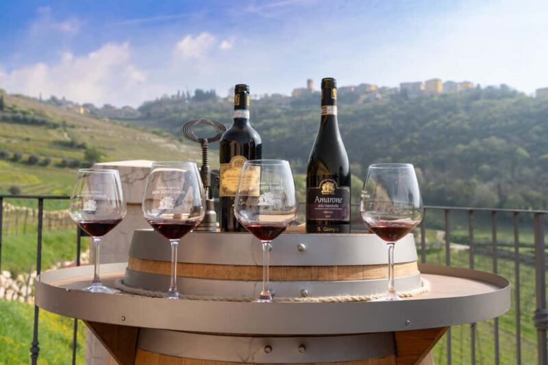 Valpolicella: Guided tour of the winery with tastings - Explore Valpolicella with an Authentic Winery Experience