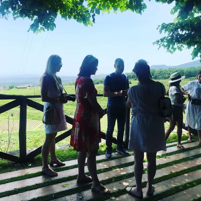 Valpolicella: Guided Wine Tour with Tastings of Local Wines - Visiting Two Distinct Family-Run Wineries in Valpolicella