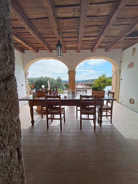 Valpolicella in the round: tasting of typical Valpolicella wines - Visiting the Historic Cellar and Processing Area