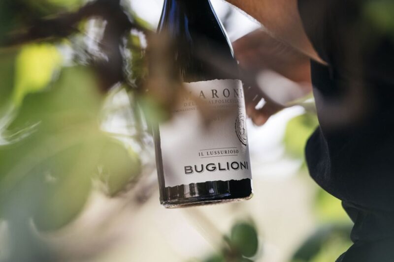 Valpolicella: Lunch or Dinner tasting with Amarone - Key Points