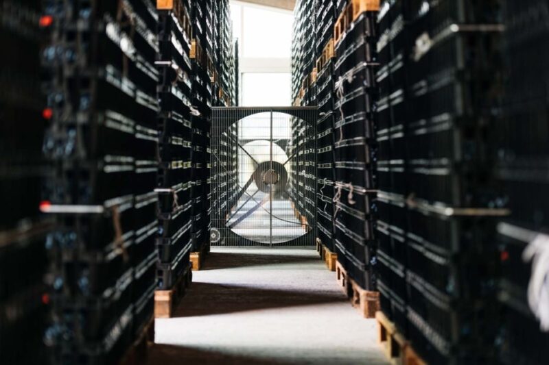 Valpolicella: Lunch or Dinner tasting with Amarone - Exploring Buglioni’s Vineyard in Valpolicella