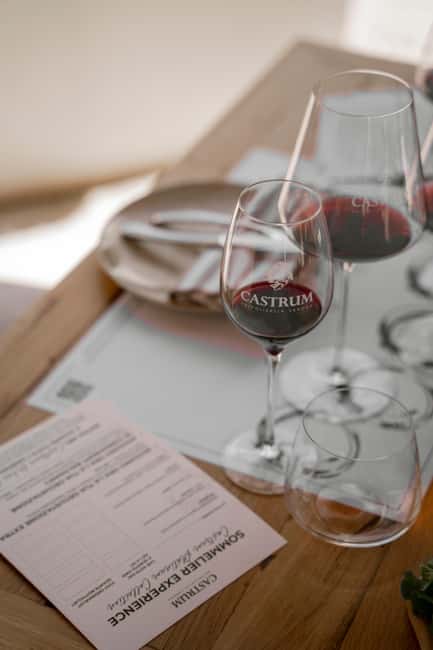 Valpolicella - Wine Tasting and Charcuterie Boards with a Panoramic View - The Guided Tasting and Educational Value