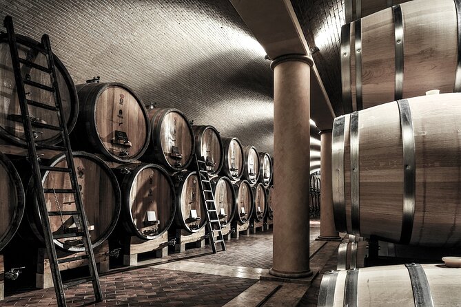 Valpolicella Wine Tasting Experience & Light Lunch - Meeting Point and Logistics in Verona