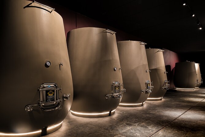 Valpolicella Wine Tasting Experience & Light Lunch - Valpolicella Wine Tasting & Light Lunch: A Solid Choice for Wine Lovers