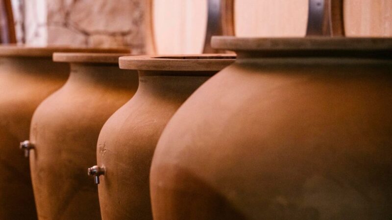 Valpolicella: Winery Tour with Red Wine&Cicchetti tasting - Exploring the Historic Cellar and Barrel Rooms