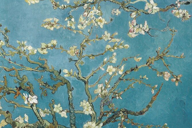 Van Gogh Museum Private Guided 3h Tour & Ticket Entry - Key Points