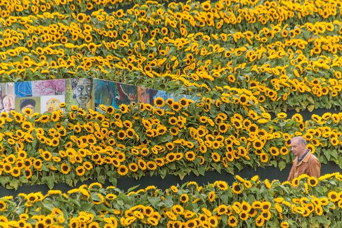 Van Gogh Museum Skip The Queue with Audio Guide - Van Gogh’s Most Famous Paintings: Sunflowers, Almond Blossoms, and The Bedroom