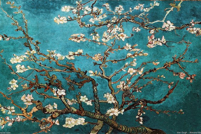 Van Gogh Museum Tour w/ Reserved Entry Semi-Private 8ppl Max - Security, Accessibility, and Cancellation Policies