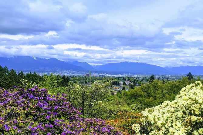 Vancouver 7 hours Airport Layover (MAKE THE MOST) CityTour Private - Vancouver Lookout: Panoramic City Views and Photo Opportunities