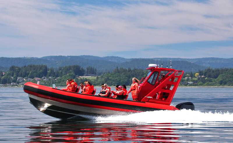 Vancouver, BC: Whale Watching Tour Small Zodiac with Guide - The Sum Up: An Authentic and Engaging Wildlife Adventure