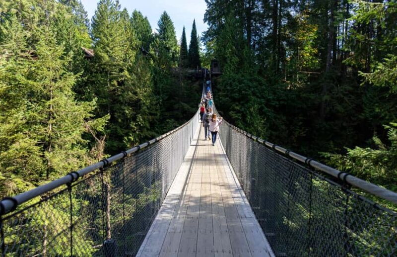 Vancouver: Capilano Bridge, Grouse Mountain & Aquabus Tour - Key Points